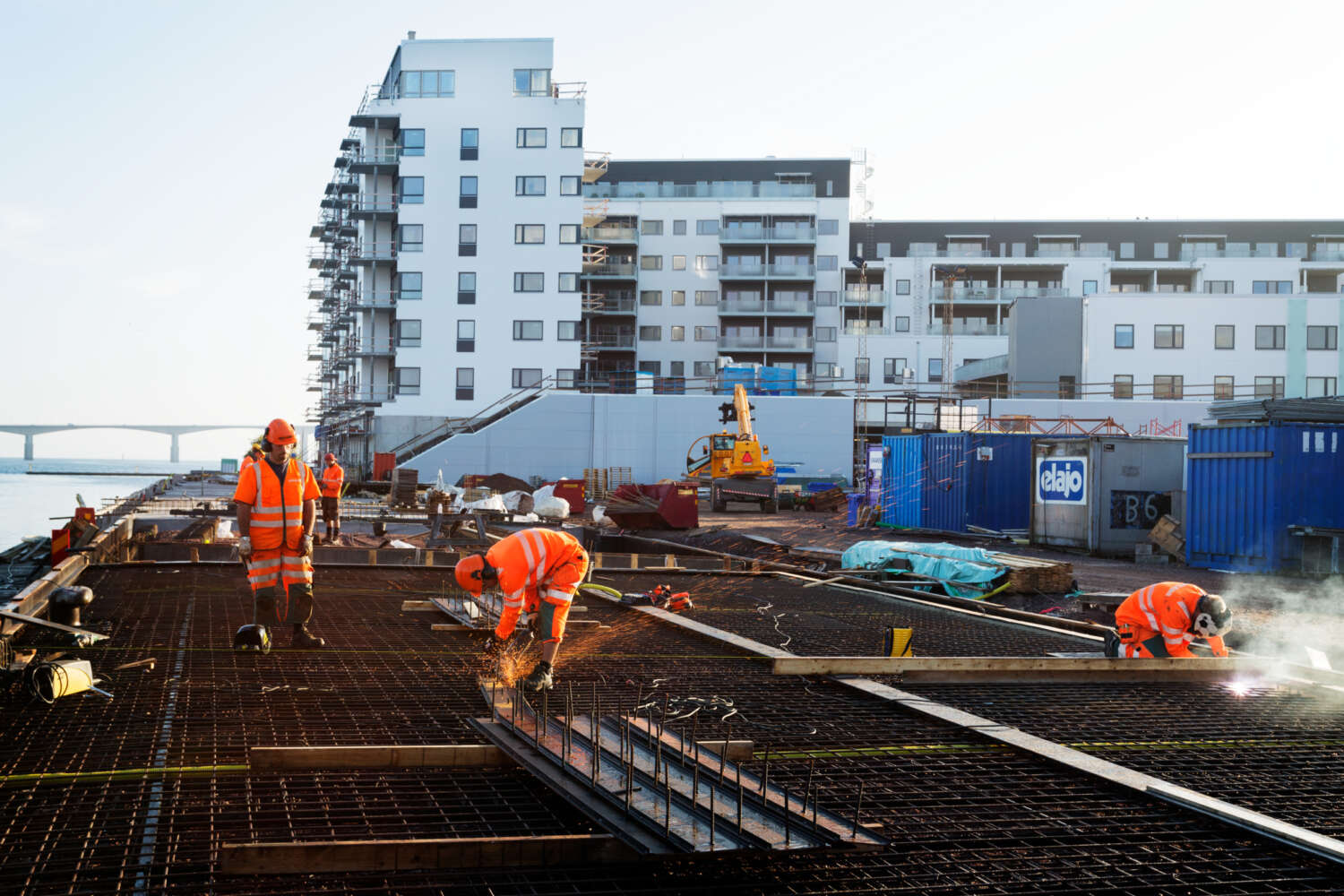 What does your company need for 2017?